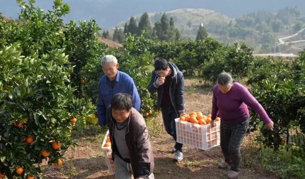 重庆巫溪文化旅游节,重庆洪崖洞逛山城老街赏巴渝文化