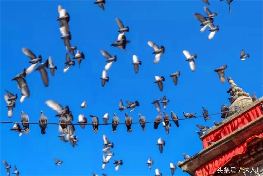 加德满都地震是哪年,加德满都地震视频