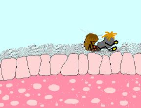 宝宝咳嗽晚上反复哭闹,宝宝咳嗽晚上更厉害了怎么办