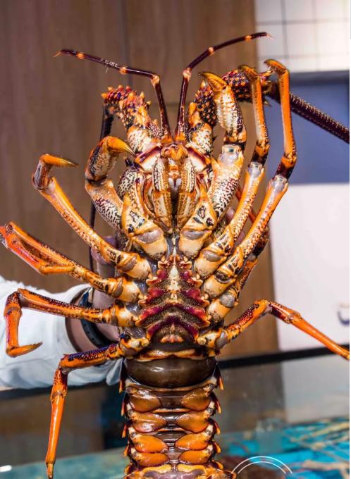 魔都最漂亮的公交,魔都最好吃的小吃一条街