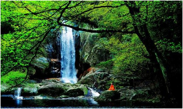 春节上海哪些地方好逛,上海人春节吃什么