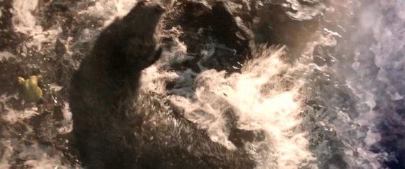 雷神3浩克打芬里尔,雷神3芬里尔片段