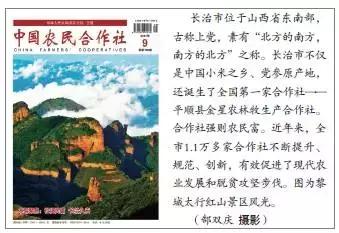 长治市人民政府丁向东,山西省长治市丁向东