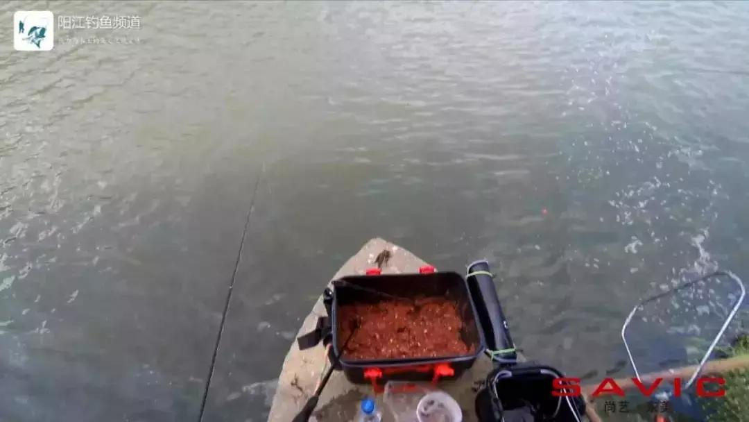 最佳钓鱼旅游地,海边旅游攻略钓鱼