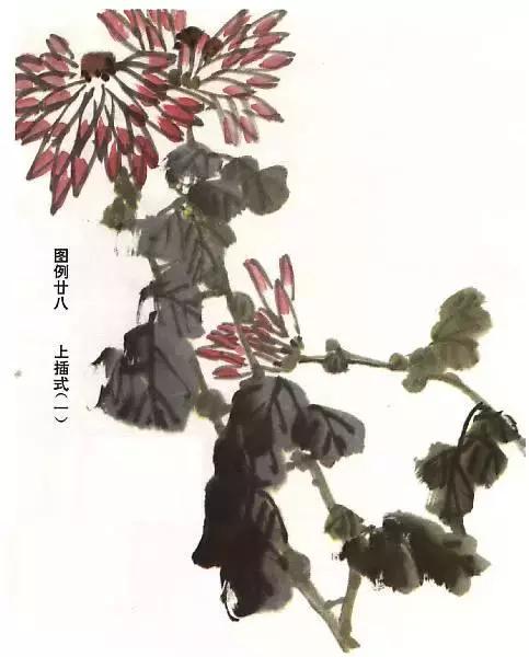 国画菊花画法教学视频,国画入门菊花的画法