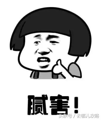 免签国家一览表最新,2023最新免签国家