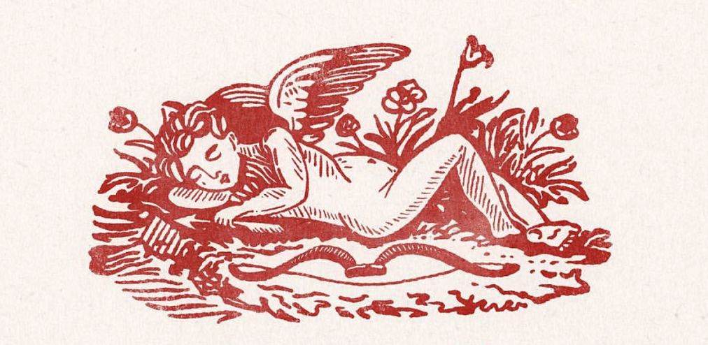 爱神丘比特多肉,多肉爱神丘比特