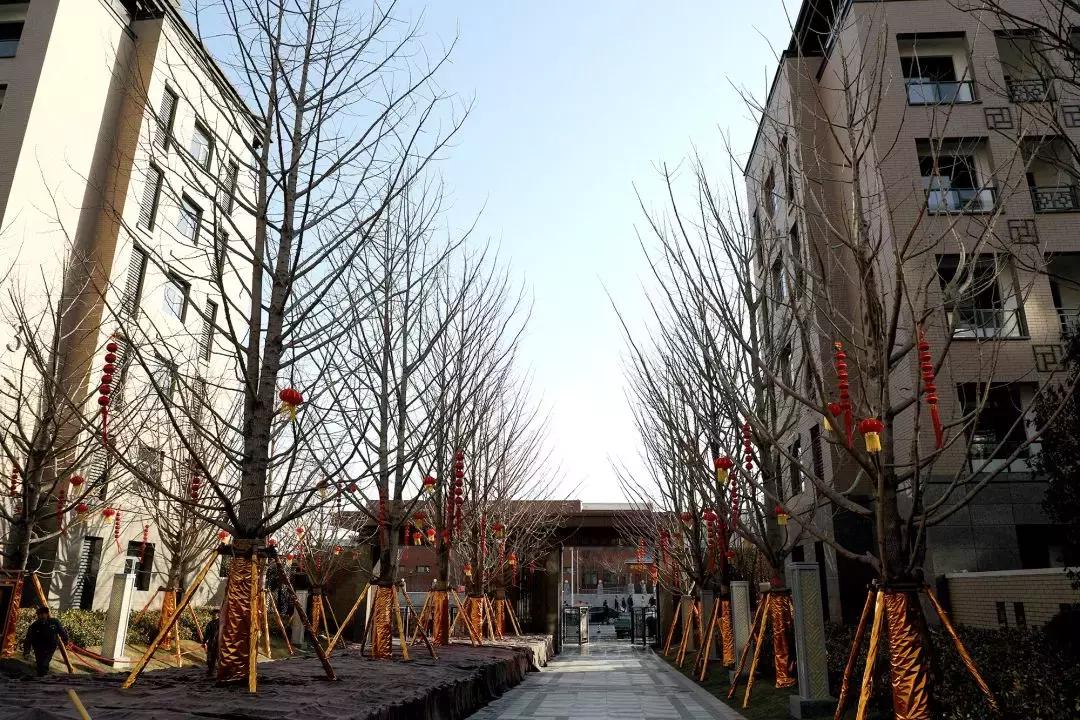 风雪中来，一见钟情，豫发何以傲娇？