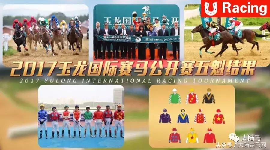 马术专业队中国马术队,中国队夺马术三项赛个人团体金牌