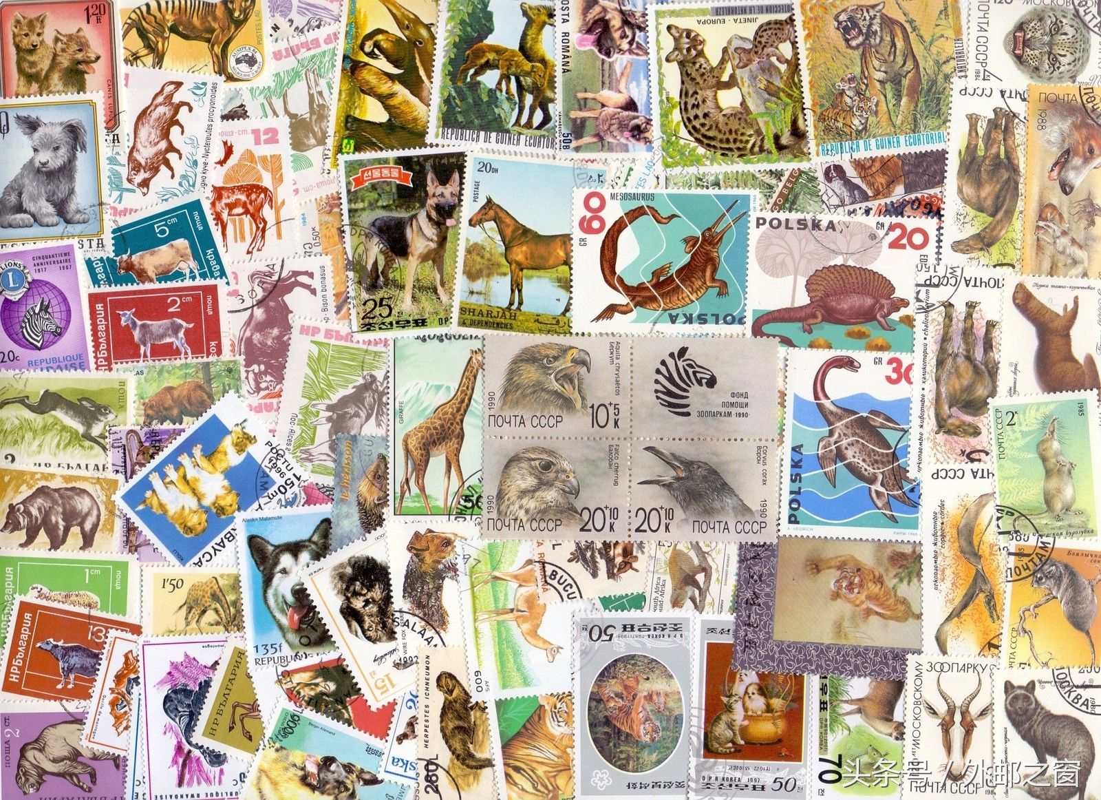 老纪特邮票盖销票是原版票吗,邮票中盖销票价值为什么低