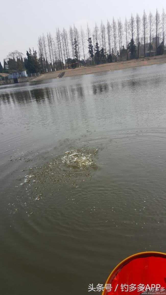 台钓竿双钩,台钓双钩沉底