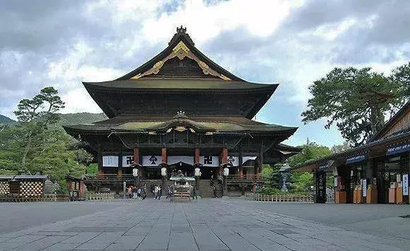 蛙不着家！空巢老母亲就将它去的地方、买的珍品统统扒了一遍！