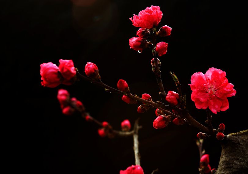 诗词原创长相思,长相思情感经典诗词