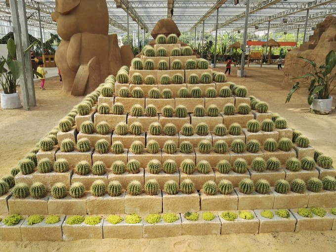 新农村五彩田园图片,农村五彩田园