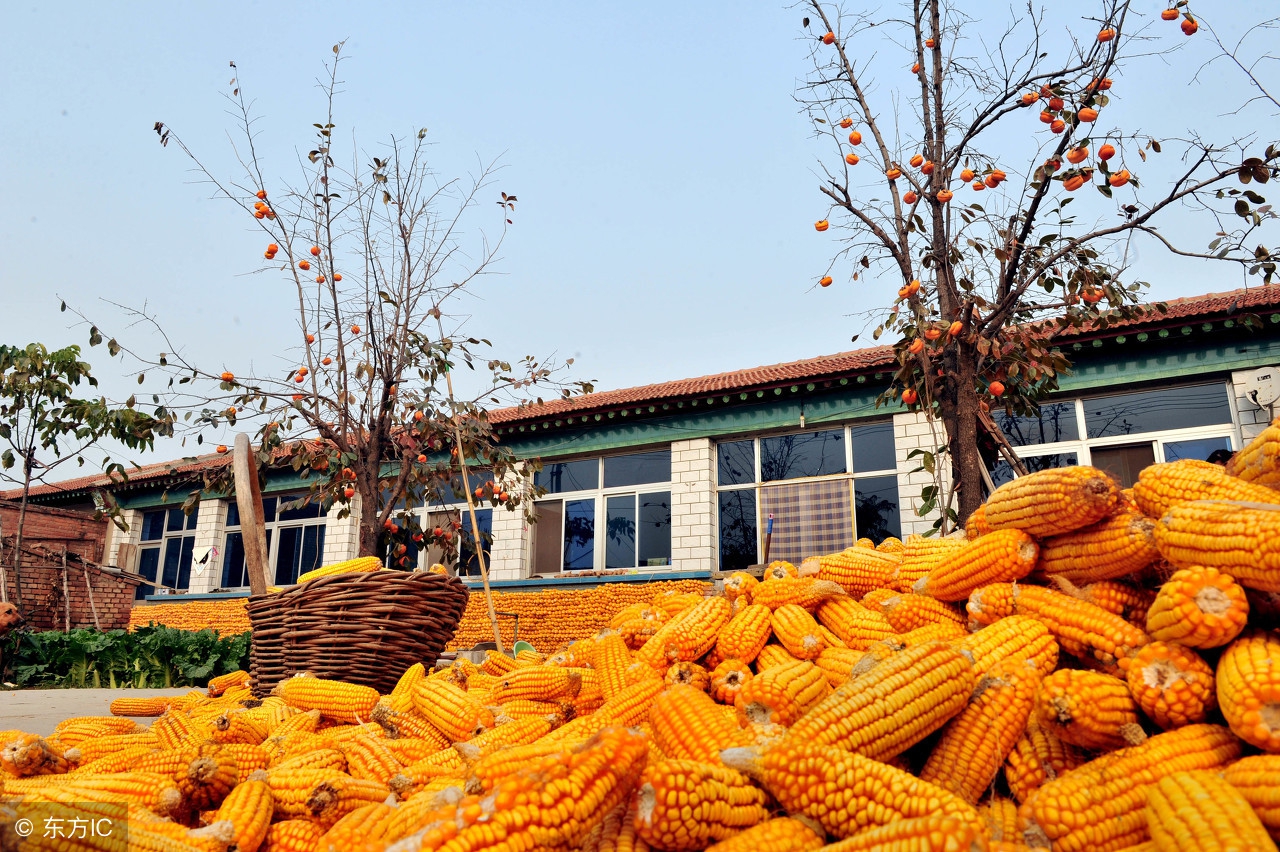 北京郊区农民生活水平怎么样,北京农村生活真实现状