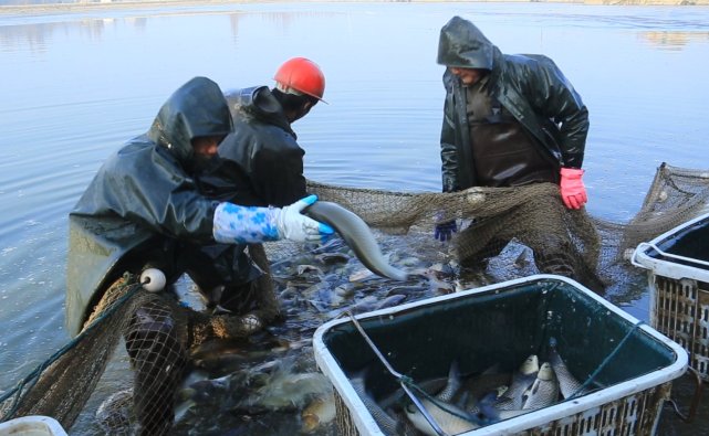 谁说农村不如城里,谁说农村生活不如城里