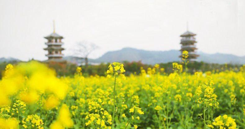 新农村五彩田园图片,农村五彩田园