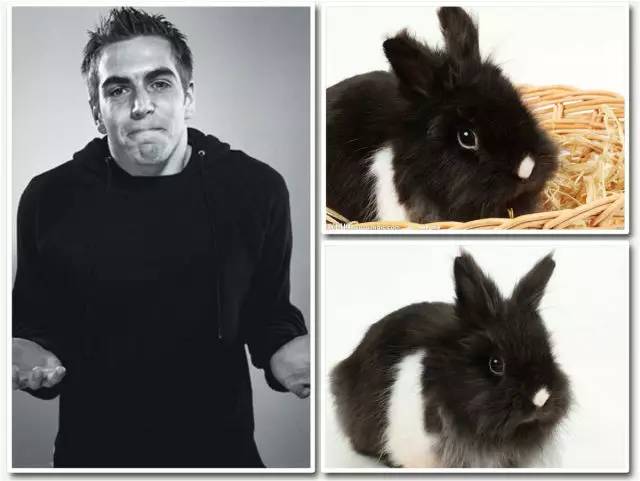 卡门的杂货铺|牵着大象去逛街，图说体坛明星的宠物情缘