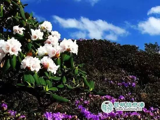 五一何须远游昆明近郊玩场多