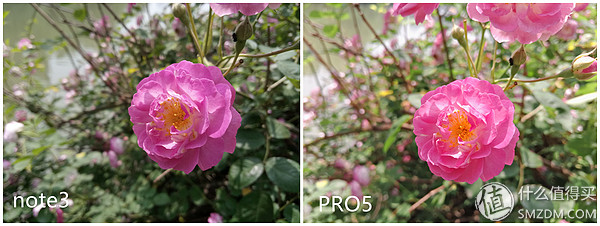 全新魅蓝note3,魅蓝note3详情