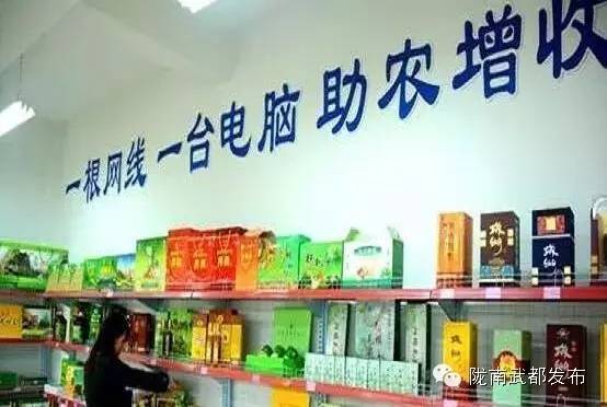 陇南市电商促增收,武都电商扶贫企业
