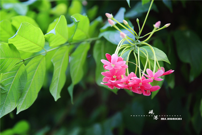 周末越南团进入东兴旅游,节假日去越南旅游怎么样