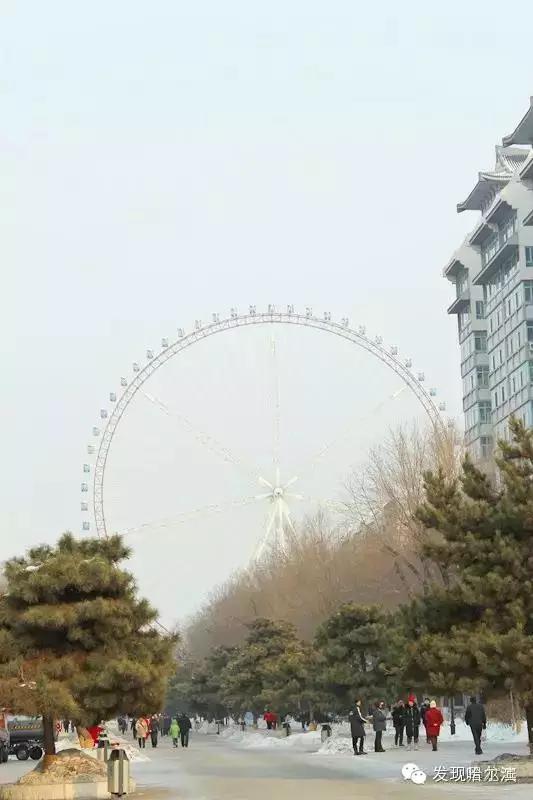 哈尔滨极乐寺是天台还是净土,哈尔滨极乐寺不堪回首的往事