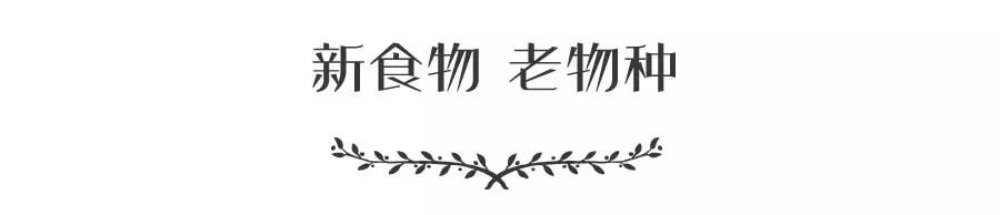 奇亚籽的食用方法,奇亚籽能量