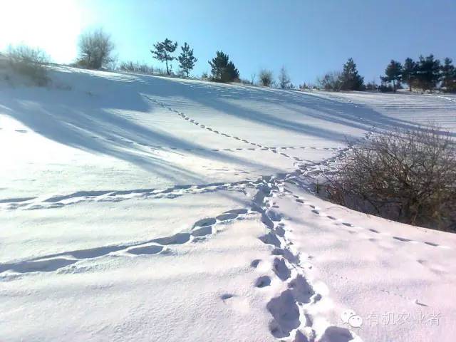 曾经结伴同行,曾经一起走过的路图片