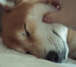 想必手感一定很赞！