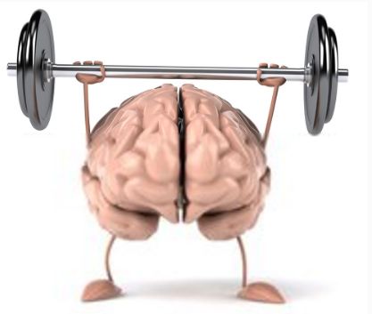 你真的了解自己的大脑,你的大脑到底在经历些什么