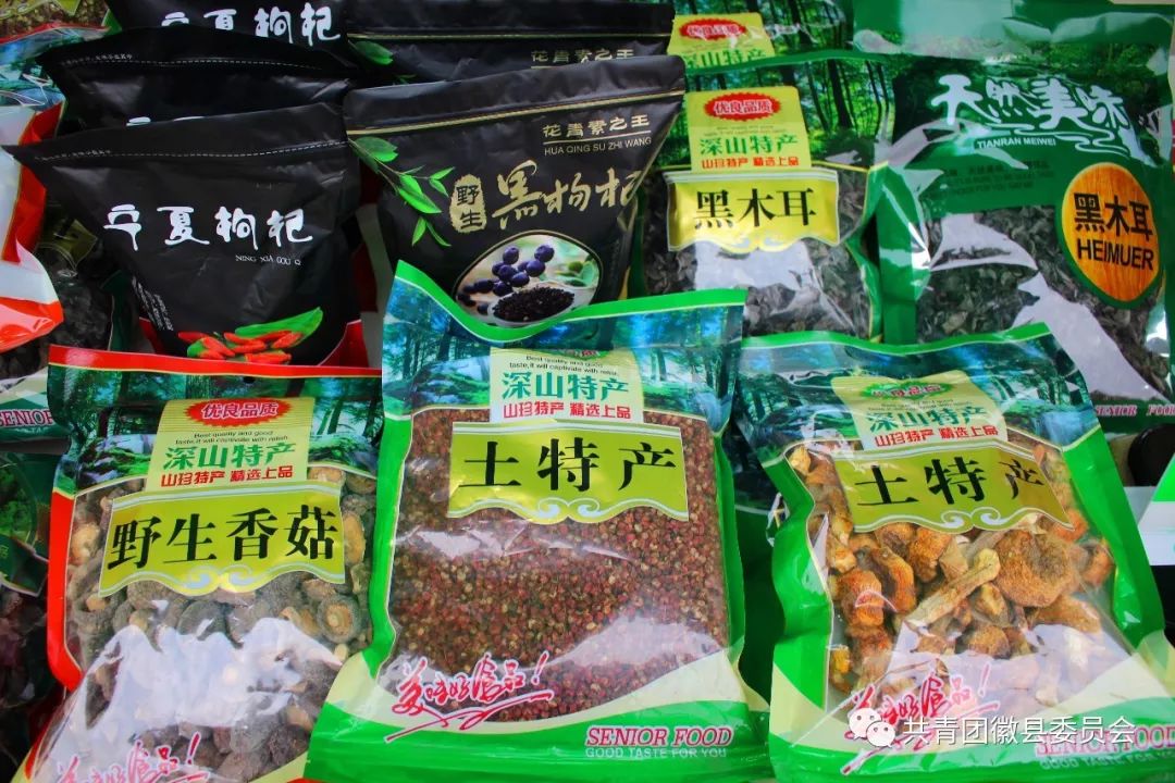 惠民电商年货节,荣县电商直播年货节