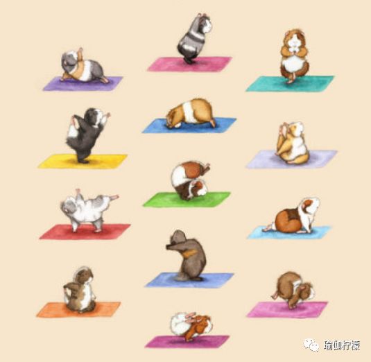 灏忚睔榧犵粌鐟滀冀,缁冪憸浼界殑灏忚睔榧犲お钀屼簡