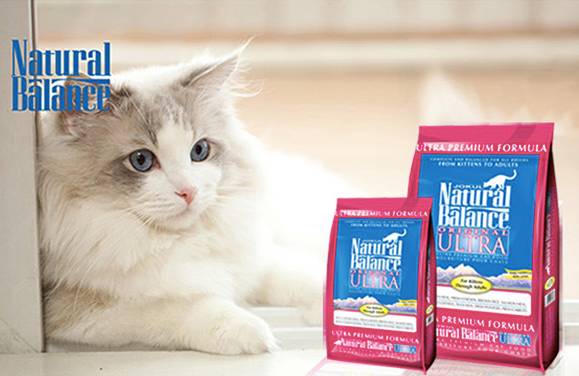 给猫买什么猫粮比较好,给猫最好买什么猫粮