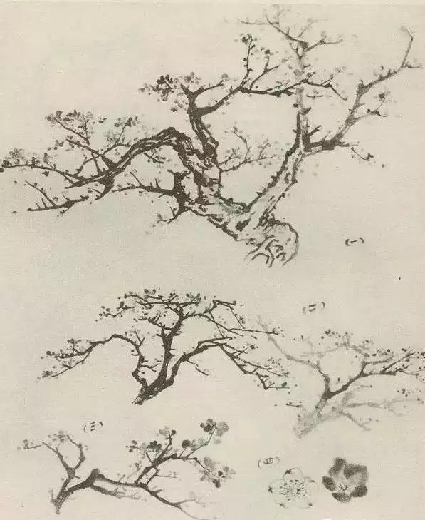 怎么画枯萎的树简单又好看,成长树怎么画小学生六年级