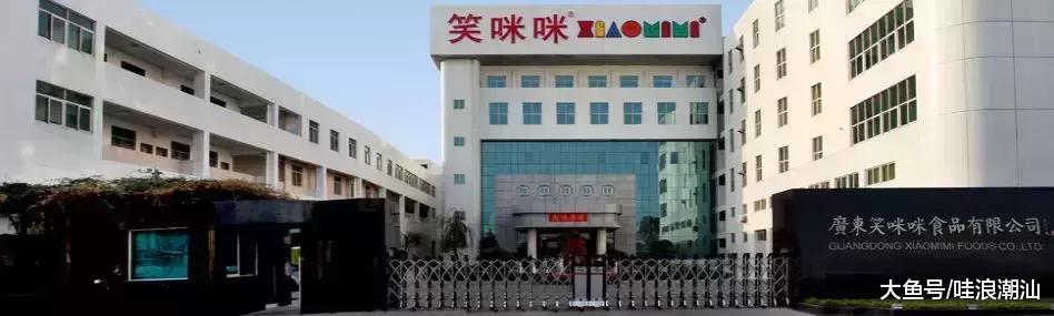 庵埠十大食品企业老板,庵埠十大名企