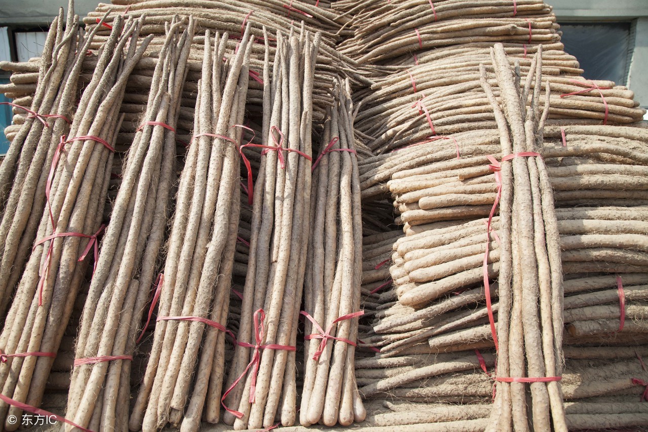 这种蔬菜不起眼却是菜中人参,这种蔬菜堪比人参一定要常吃