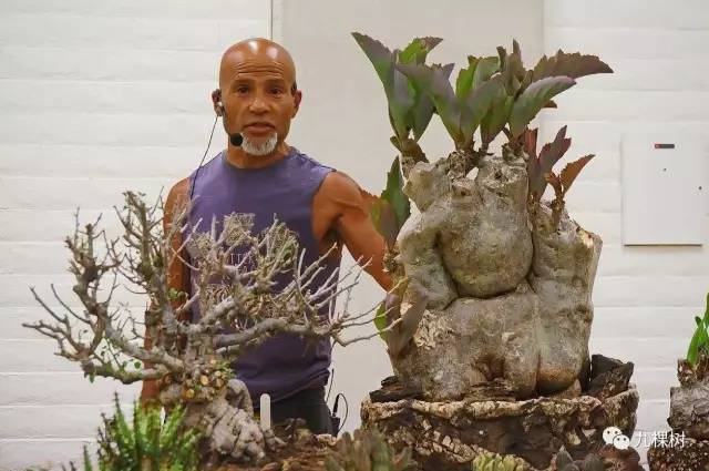 多肉万象最贵的品种,玉露多肉最贵多少钱一棵