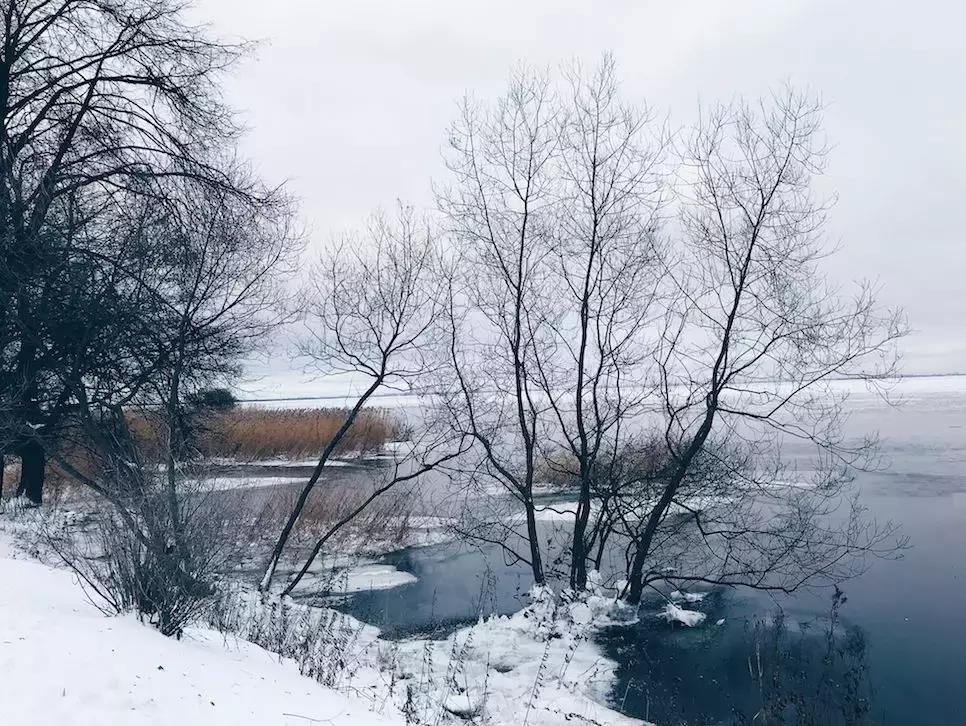 我去了一趟俄罗斯，那里有这个宇宙间最高的审美和康熙大帝的美食