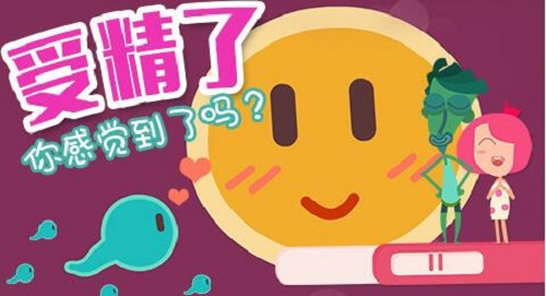 胎儿在母体中的日日夜夜（一）