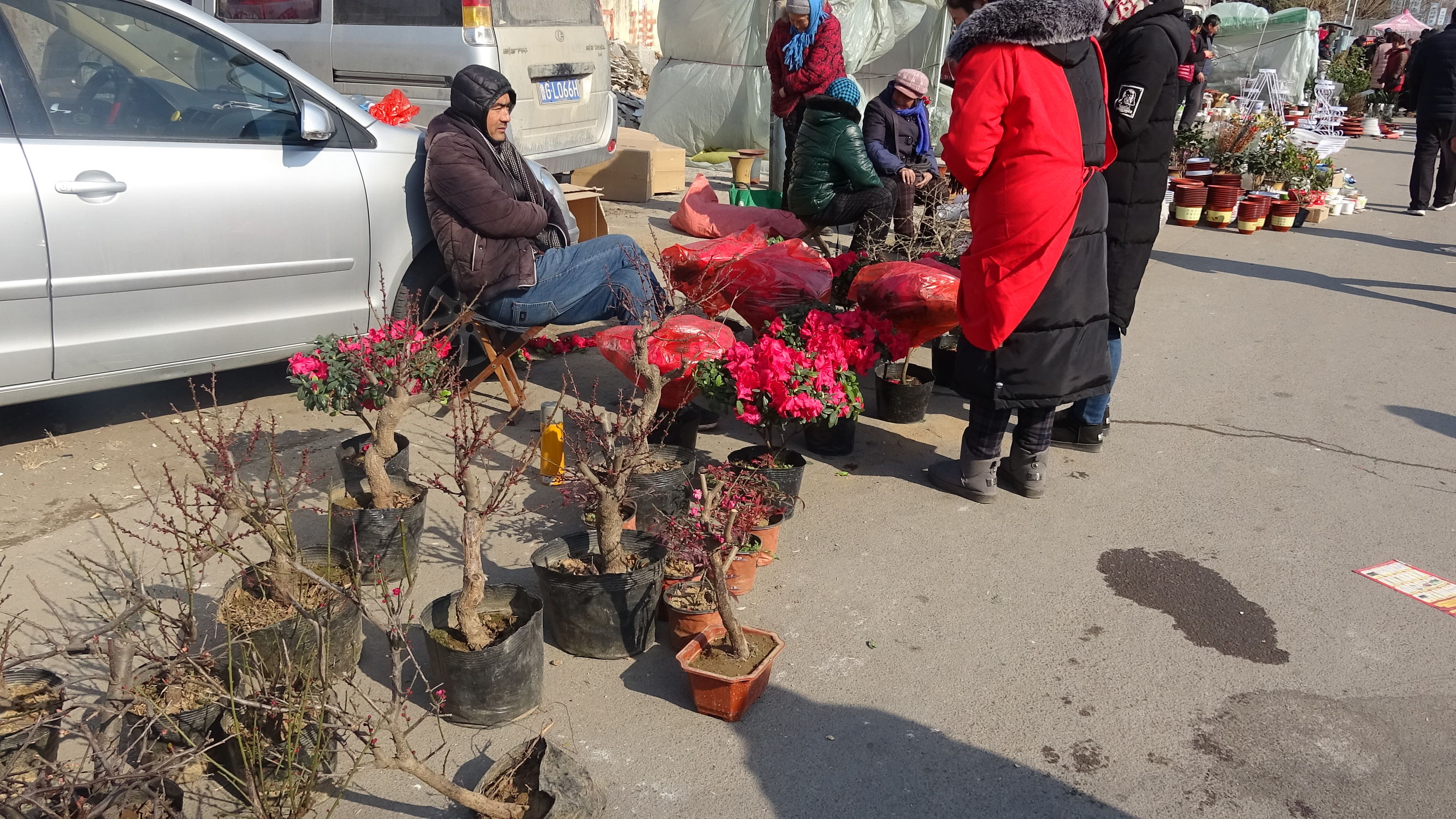 我的家乡集市,临朐县城大集