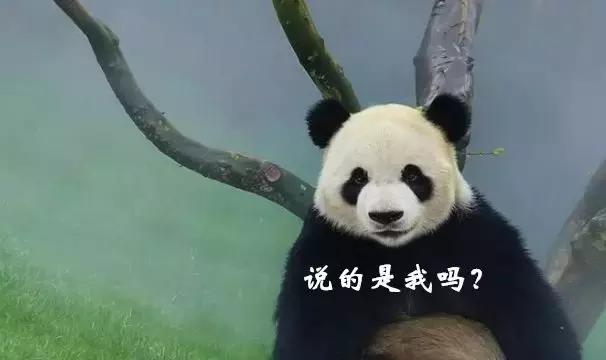 熬夜黑眼圈自救,熬夜黑眼圈的真相