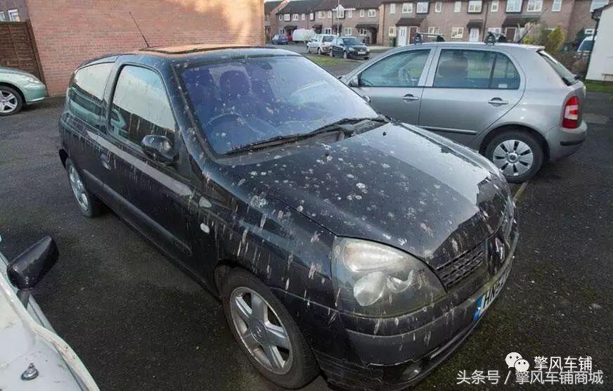 汽车使用车衣好还是不用好,新买的车有必要贴全车膜吗