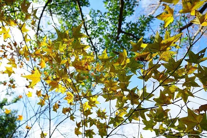 e-mount索尼,emount镜头焦段