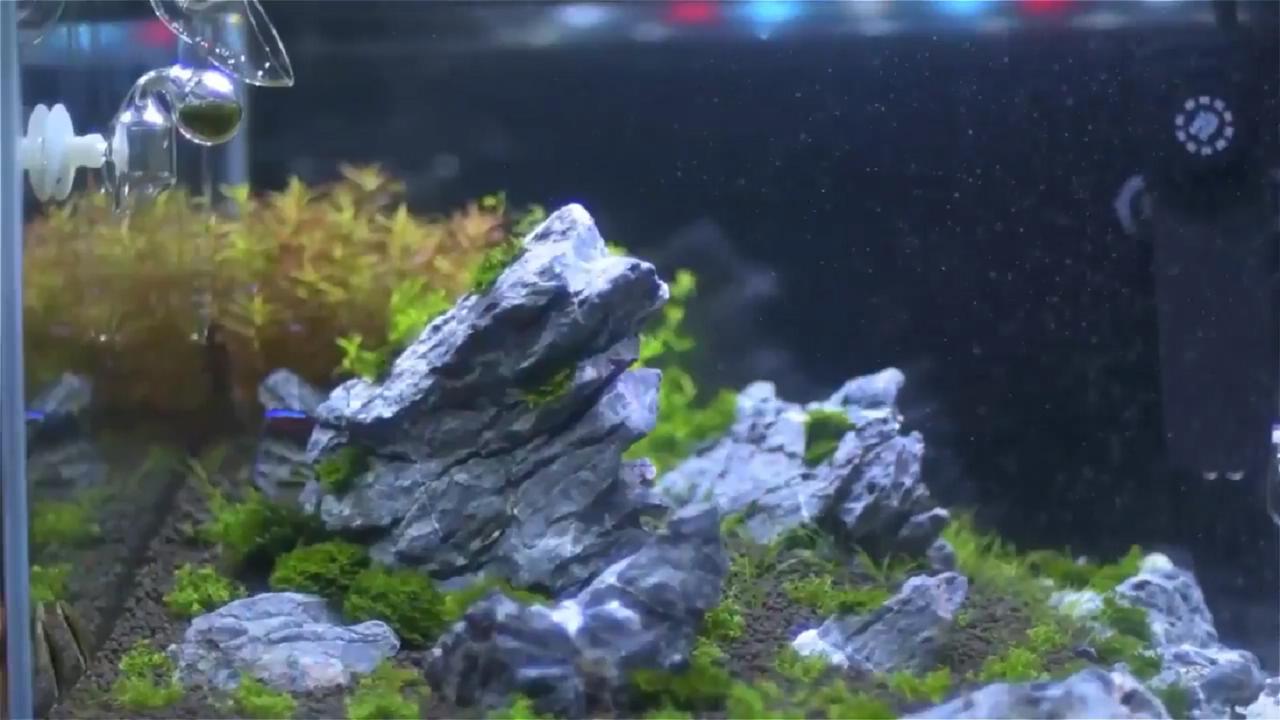鱼缸景观搭建图解,鱼缸景观石制作教程