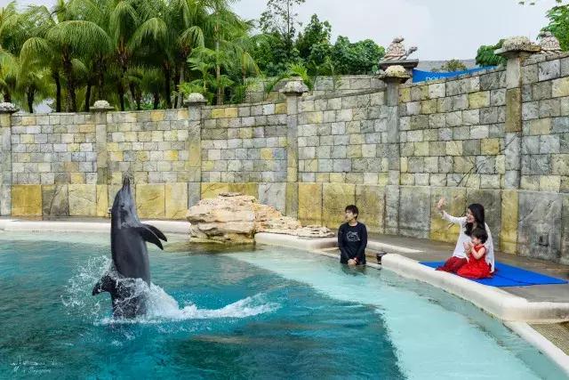 不太累的厦门旅游攻略,不累且便宜的亲子游