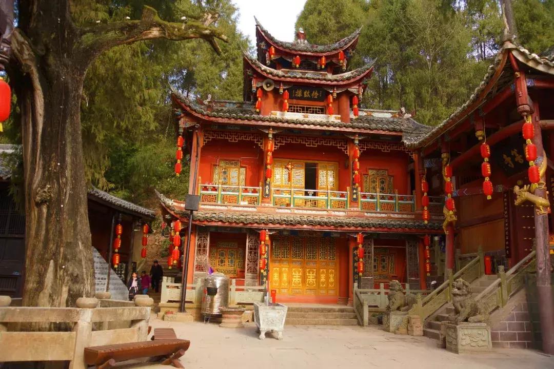 广元市柏林樱花节,广元柏林大型樱花节