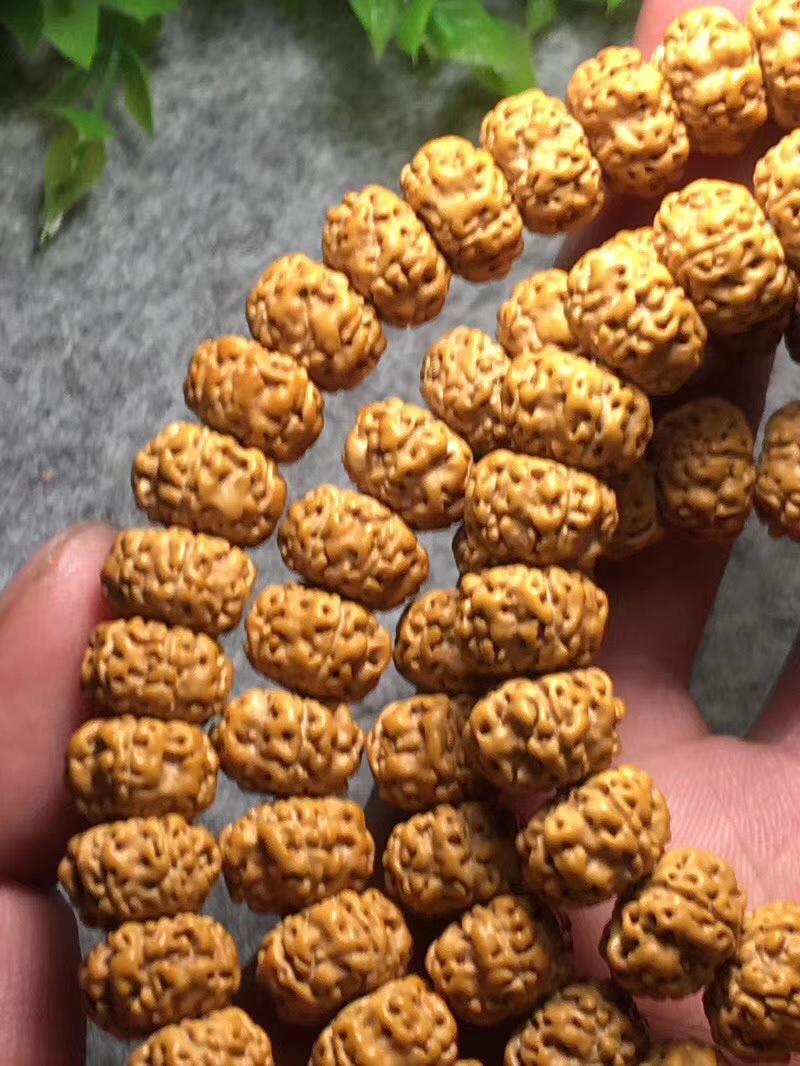 ufo金刚是什么品种,金刚菩提飞碟双龙怎么盘