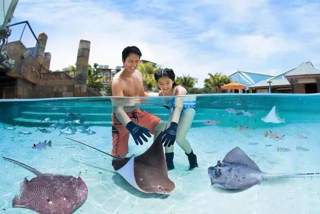 不太累的厦门旅游攻略,不累且便宜的亲子游