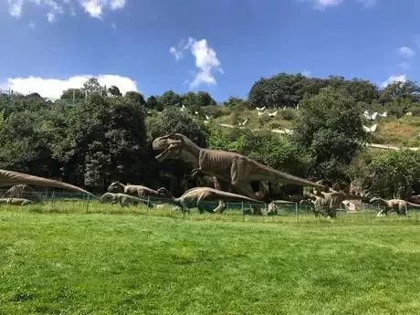 鏂版槬浣宠妭鍒板勾鍛虫棩娓愭祿,鏄ヨ妭鍒板枩姘旀磱娲嬭繋鏂板勾